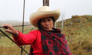 Maxima Acuña de Chaupe, a Peruvian woman who was awarded the 2016 Goldman Environmental Prize for standing up to mining companies that wanted her land.