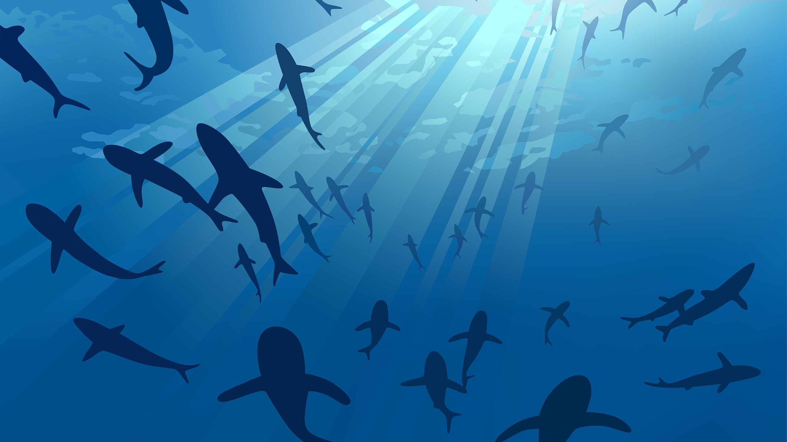 As sharks are hunted by the millions worldwide, advocates are seeking the best method of promoting conservation to the public. (Visual by iStock.com)