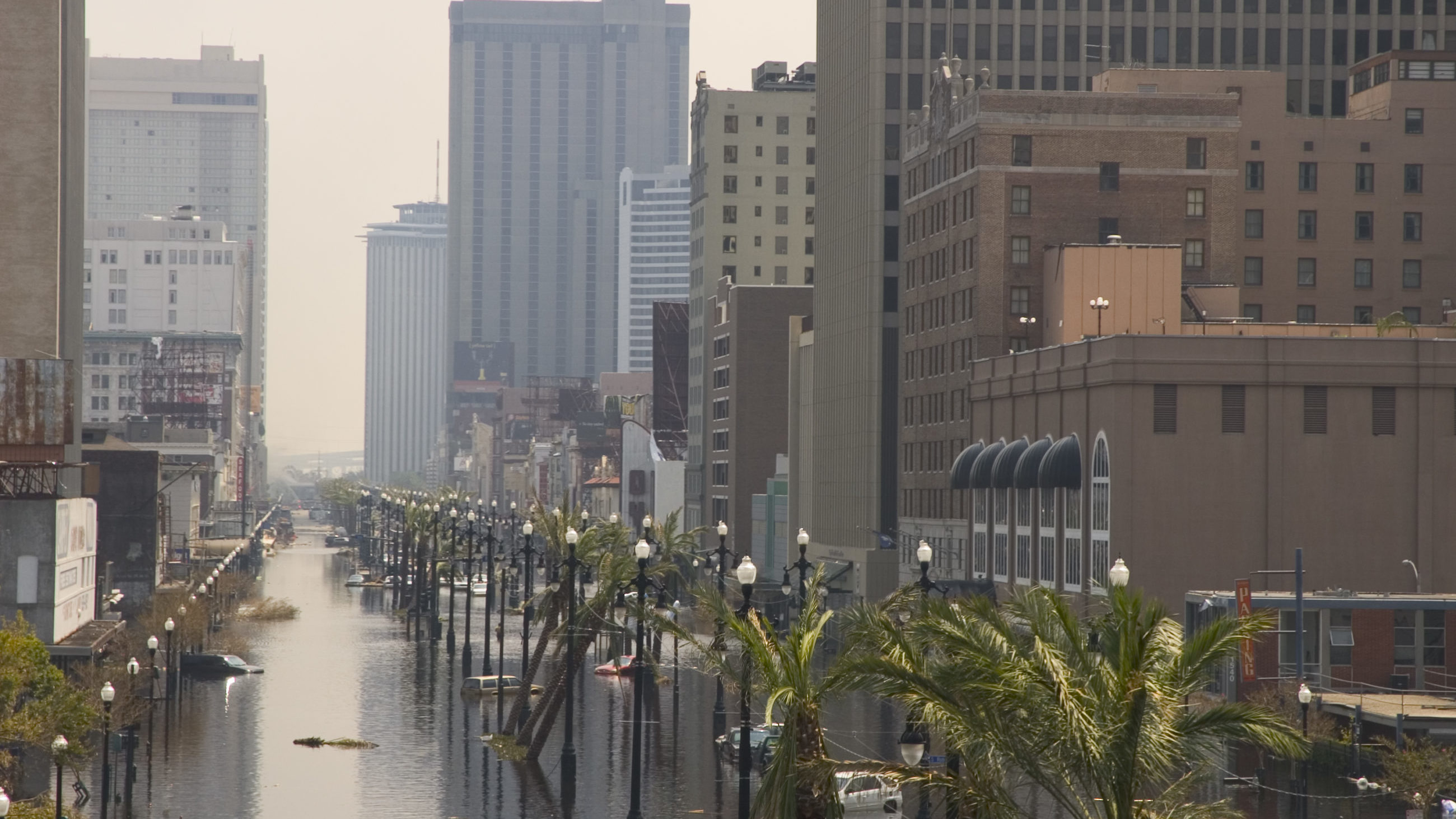 After Hurricane Katrina  devastated New Orleans, city officials have been looking into a new way to prevent flooding by embracing the landscape's natural waterways.