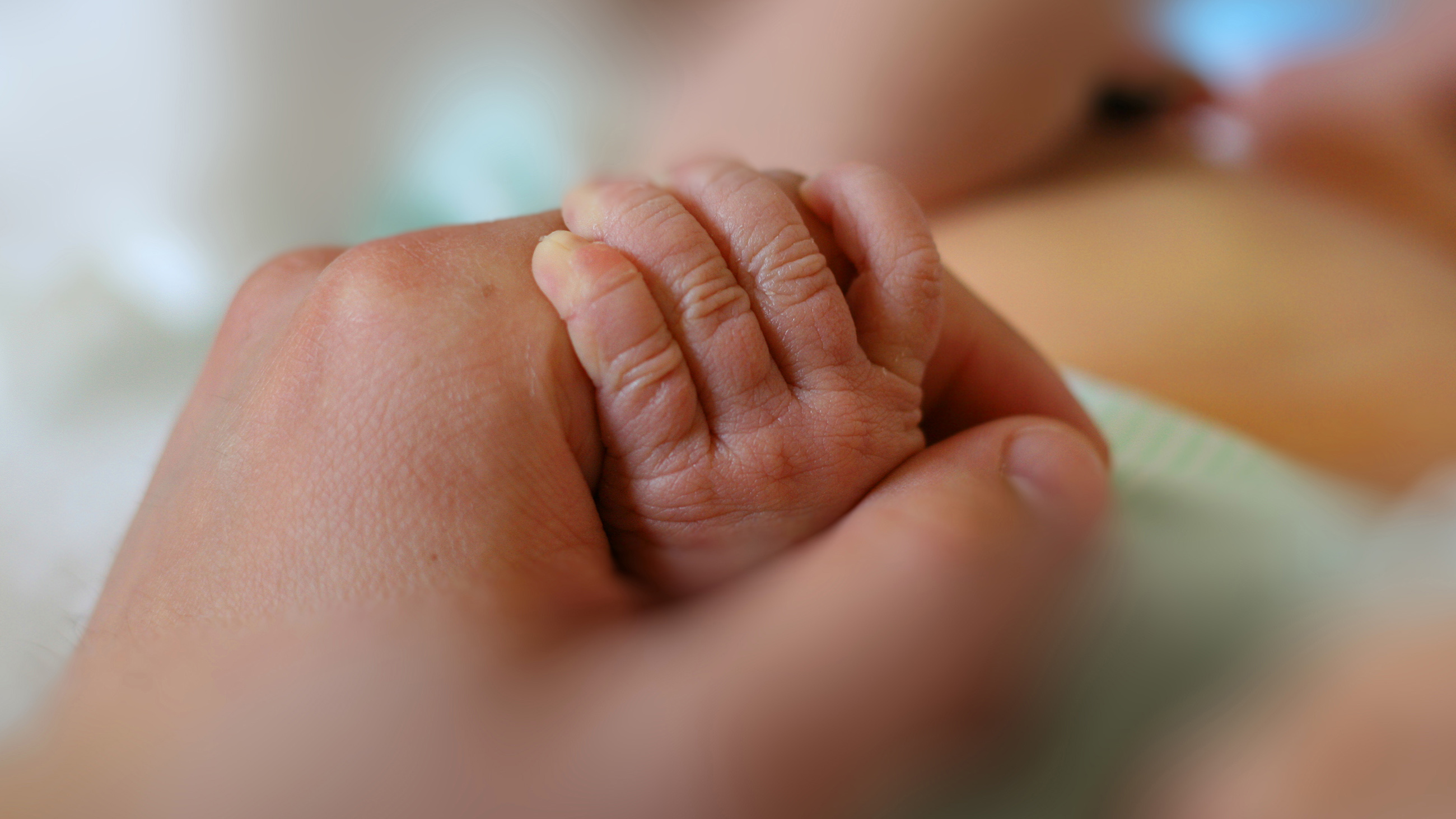 Newborn little hand hold by adult hand