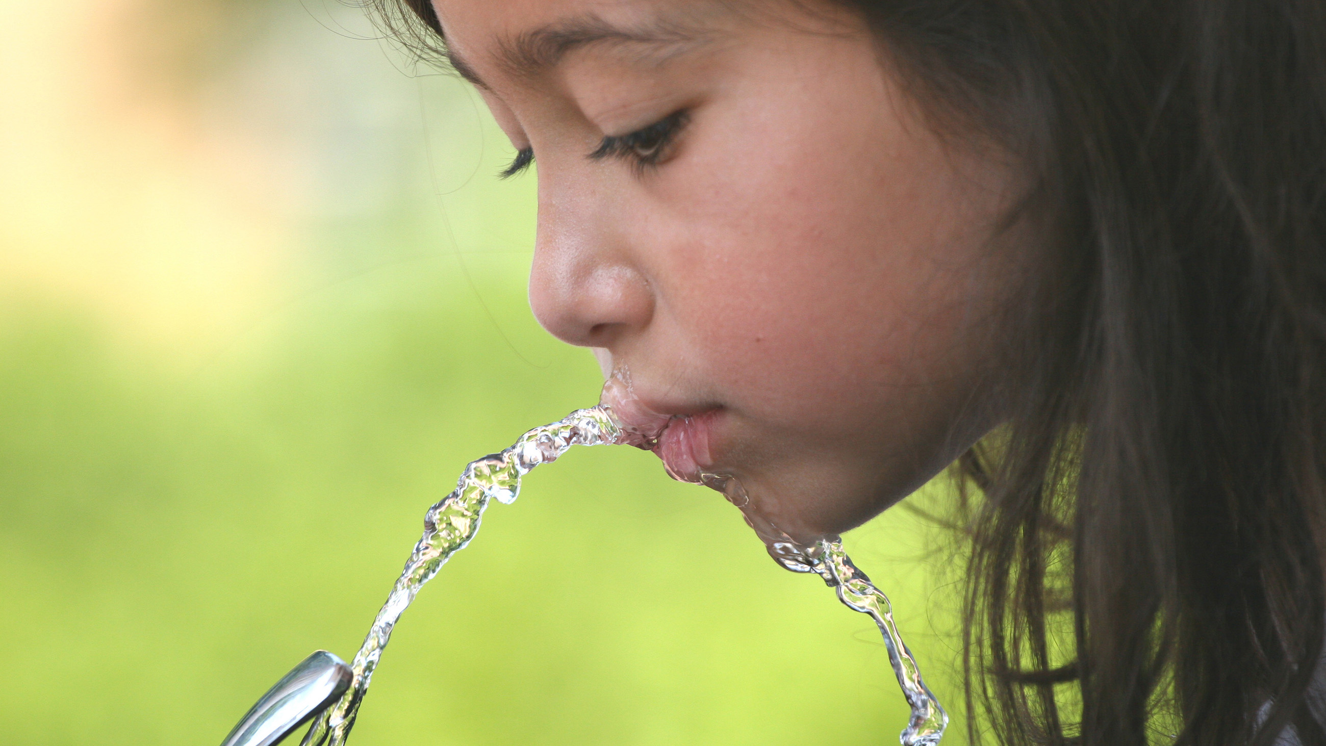 For years, schools in Portland, Oregon have been using water filters that don't take out lead.