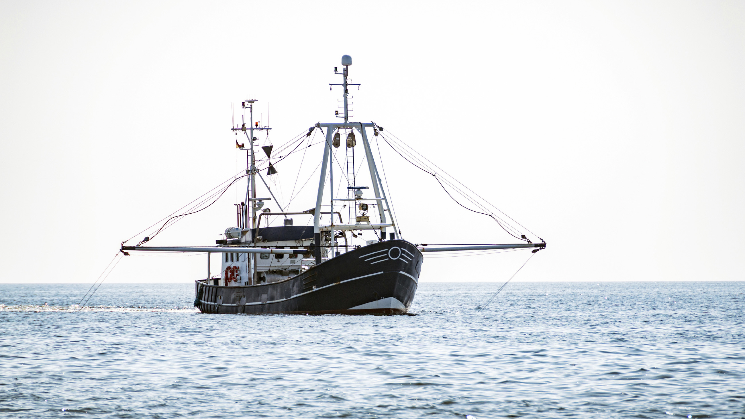 A new study shows that a large number of illegal fishing vessels are still able to obtain legal insurance.