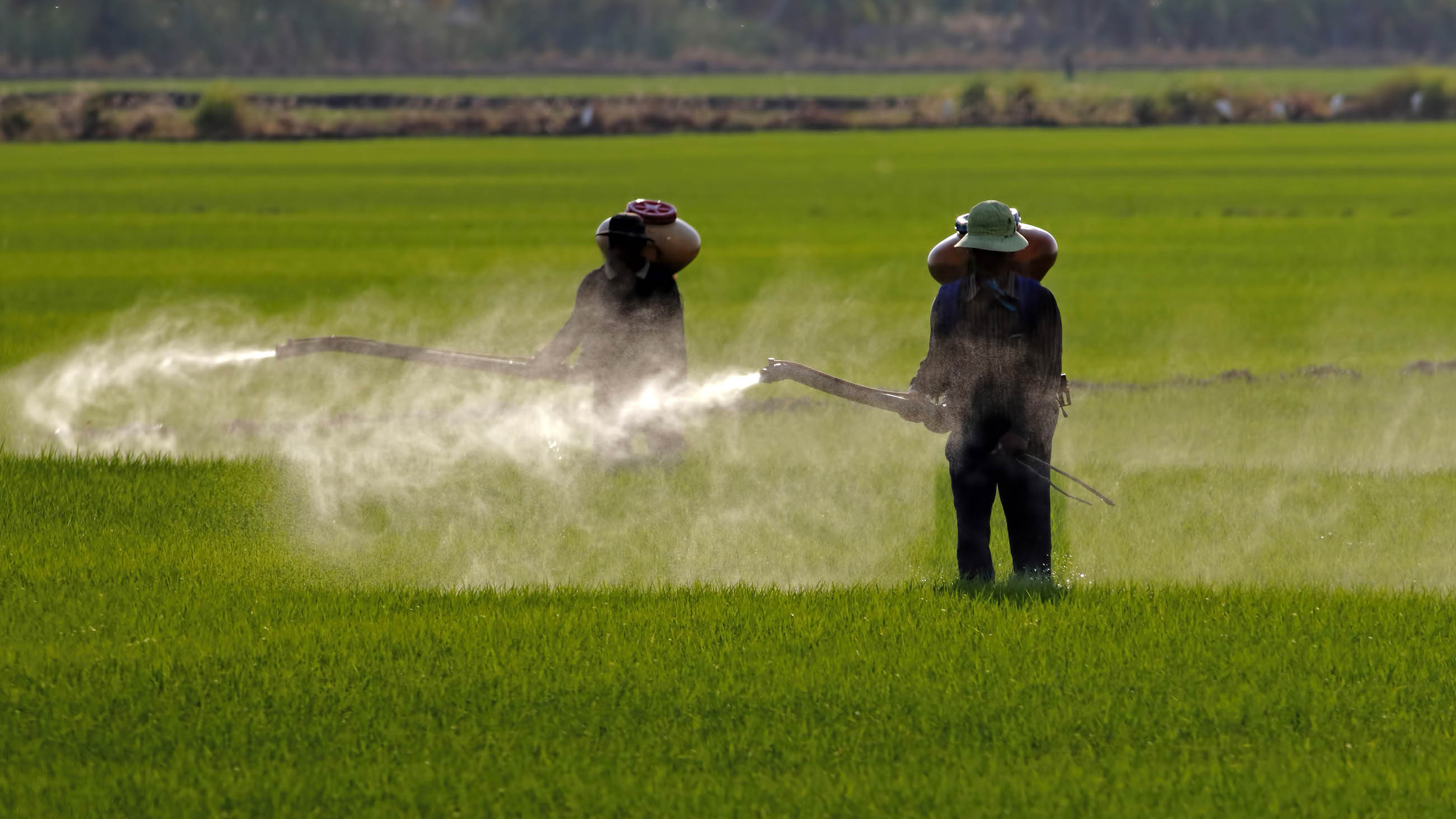 Pesticide dependence in the developing world is a problem, but there are solutions.