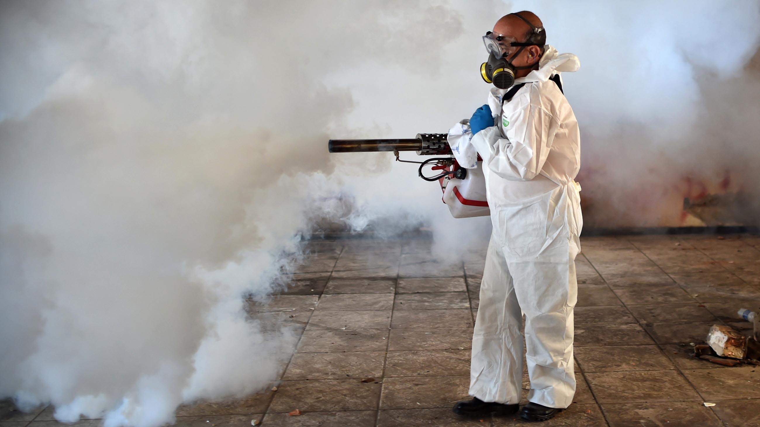 Zika might run its course in three years — though traditional interventions like insecticides might prolong things.