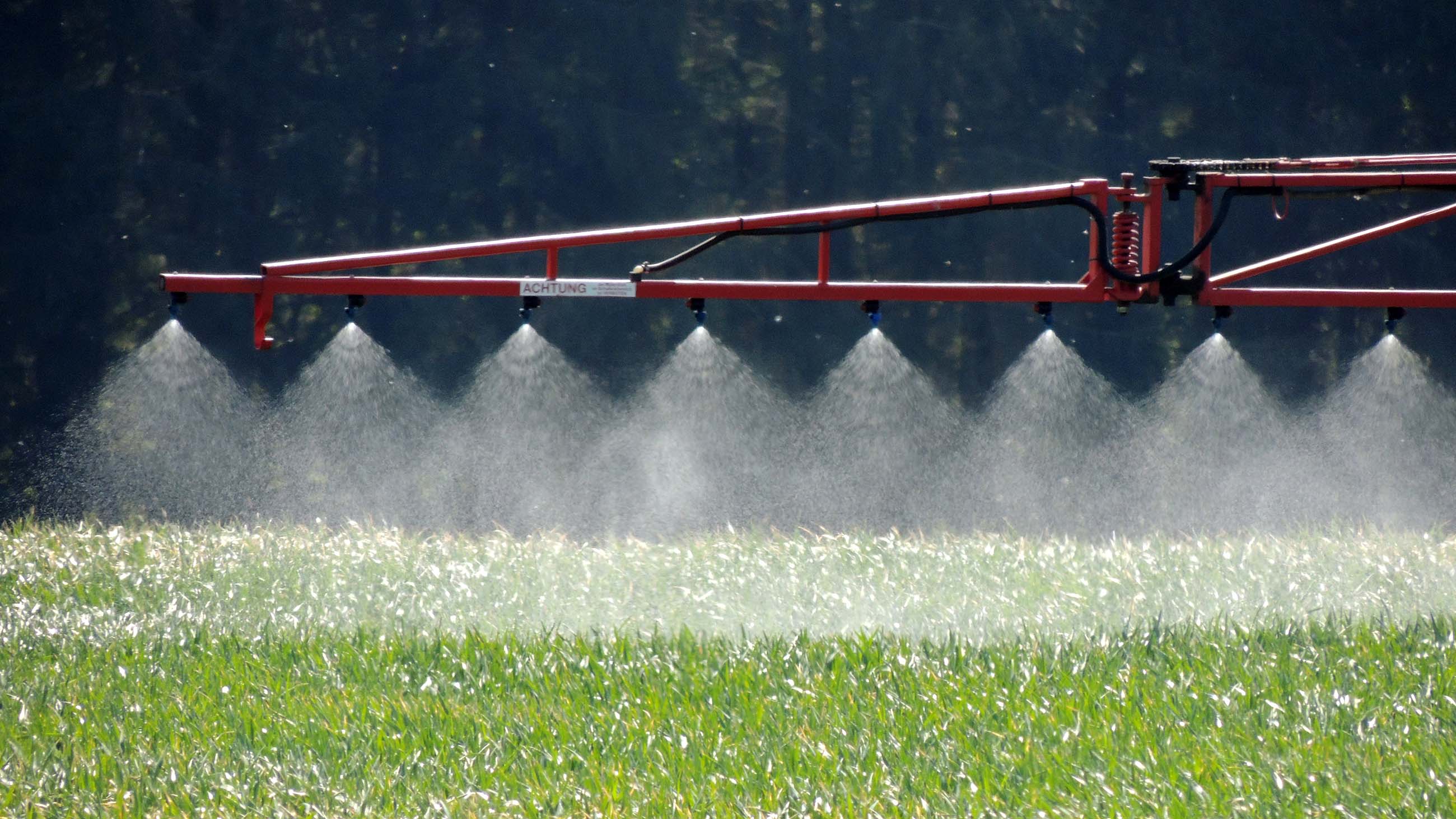 GMOs were supposed to reduced the need for pesticides. A new study suggests just the opposite.