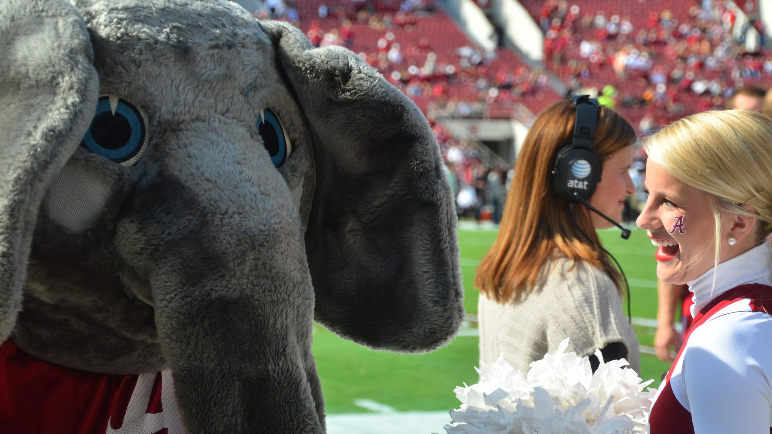 The University of Alabama's team mascot, the elephant, is now being used to help raise awareness (and funding) for elephant conservation. Does that work?