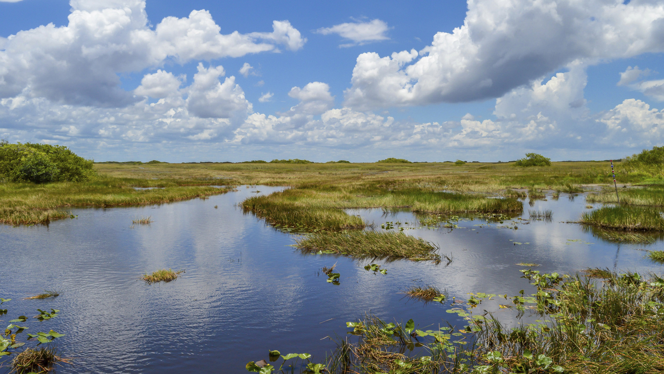 Before they were filled in and built over, channels connected Florida's Everglades to the Atlantic Ocean. That's a lesson Miami is re-learning.