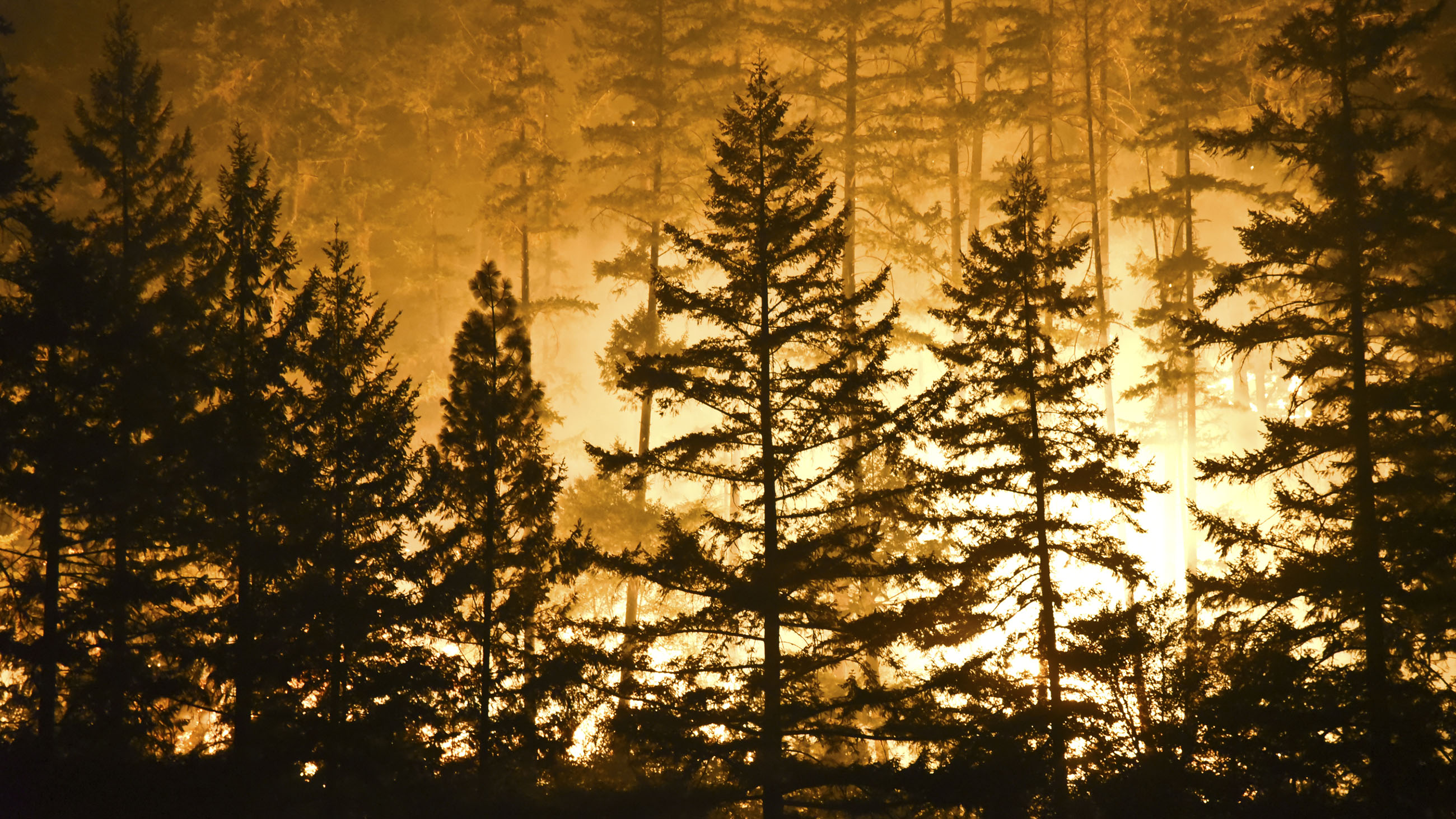 A new study reveals that over the past 30 years, forest fires in the western U.S. have spread 16,000 more square miles than they would have without the effects of climate change.
