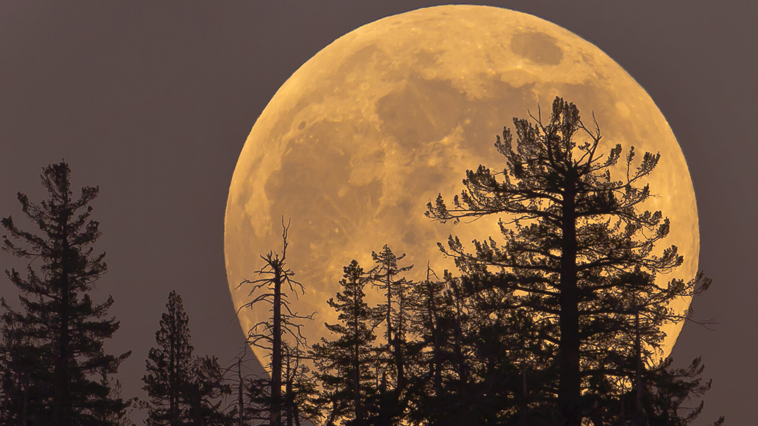 A super-sized "supermoon" will appear next Monday. This and other news in our twice-weekly news roundup.
