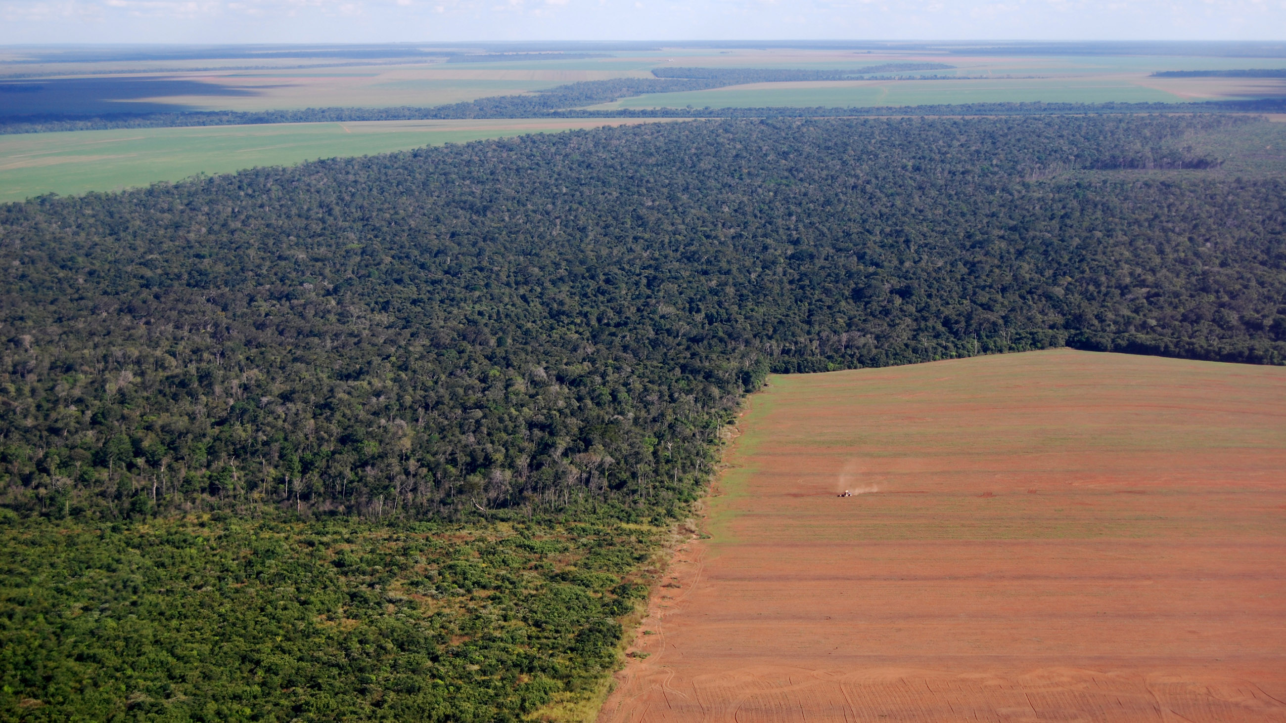 Illegal deforestation in the Brazilian Amazon is the highest it’s been since 2008.