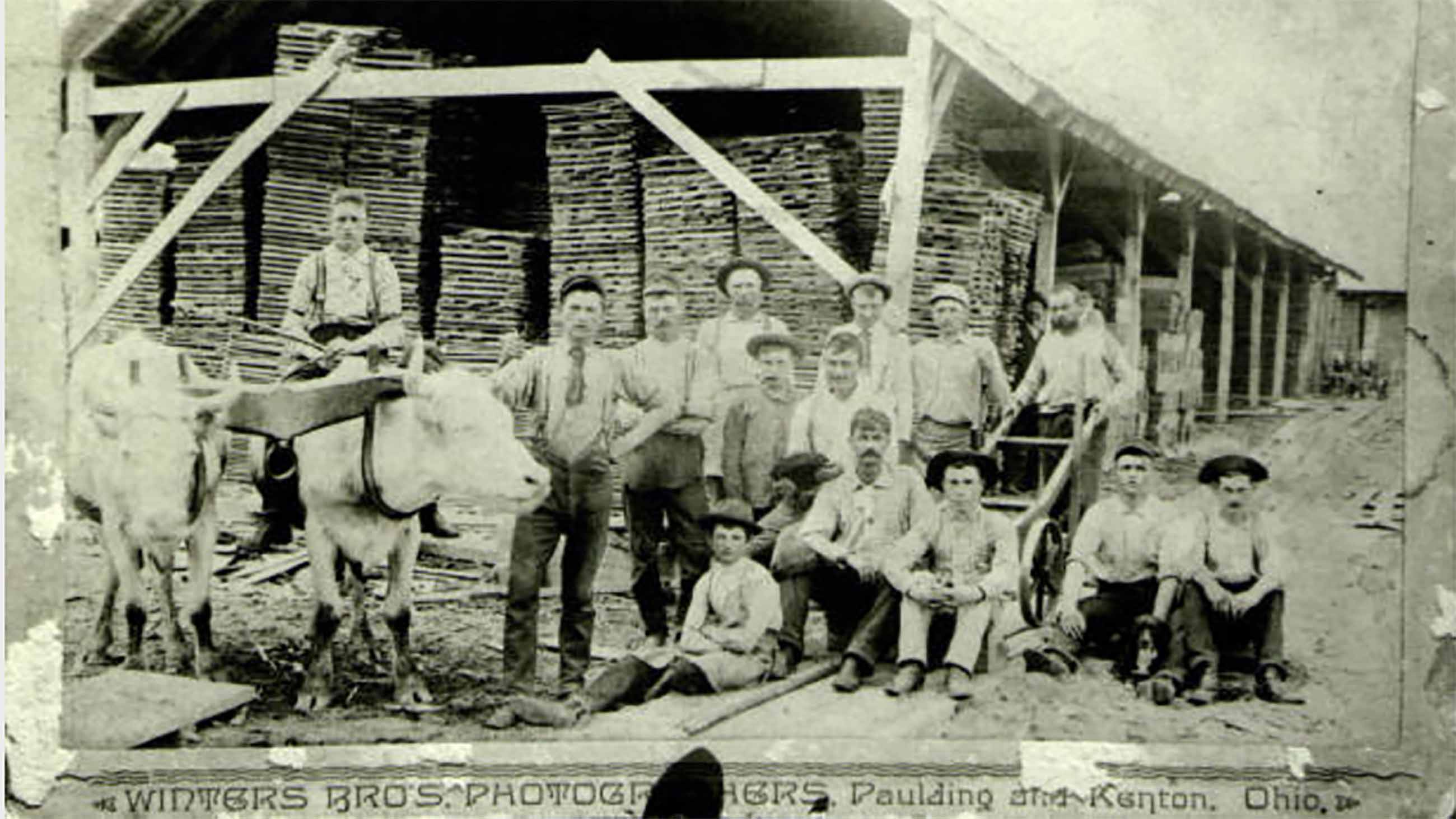 Businesses like the Wheeler Brothers hoop and stave mill in Melrose, Ohio, thrived on the cheap lumber harvested from the Great Black Swamp as it was tamed. But the marsh provided services that would later be missed. (Image courtesy of the Center for Archival Collections, Bowling Green State University).