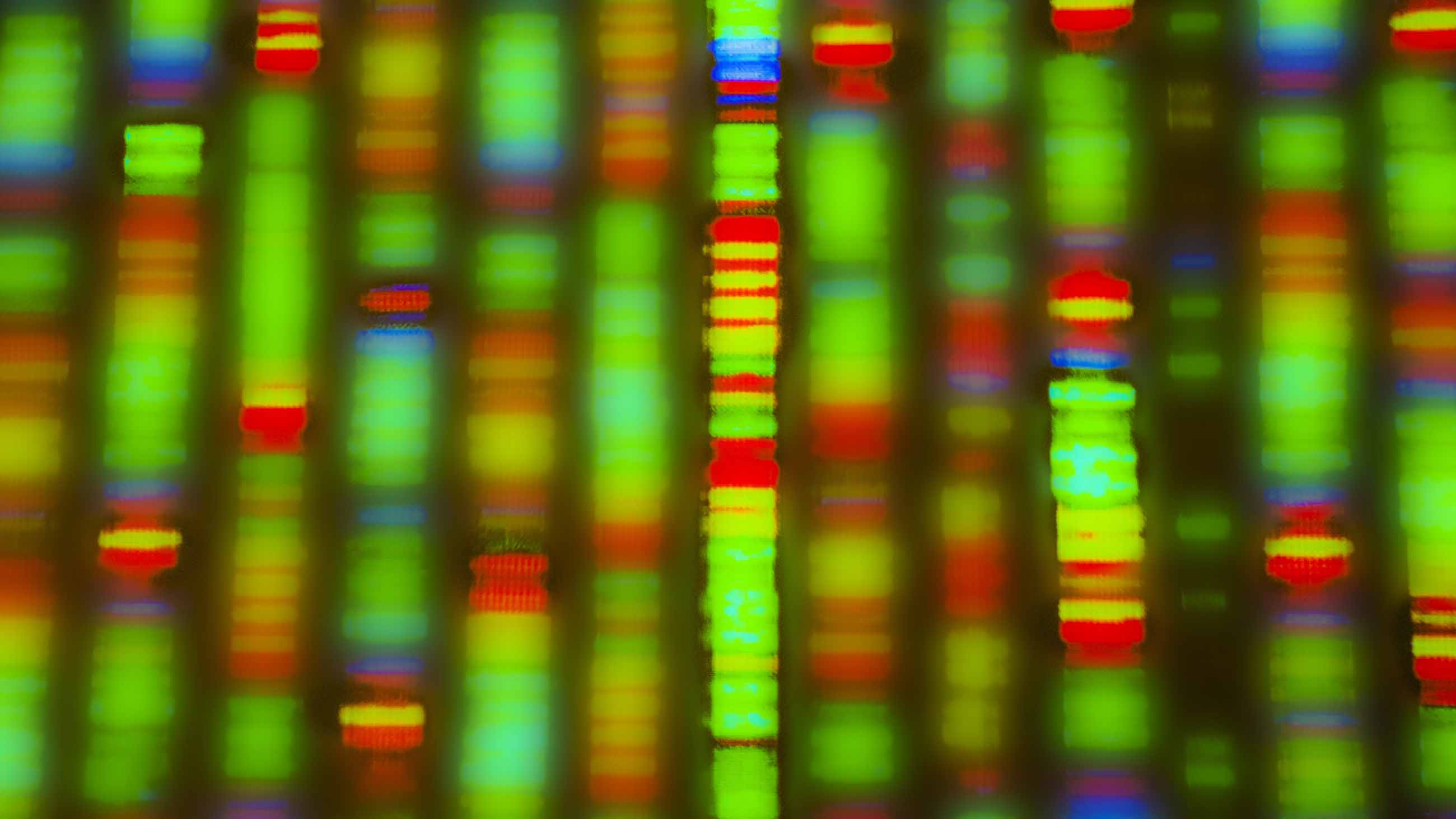 A bill approved by a House committee last week would allow employers to impose penalties on employees who opt out of sharing their genetic information.