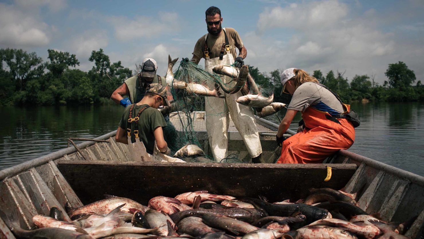 Inside the Race to Build a $1.2 Billion Fish Barricade