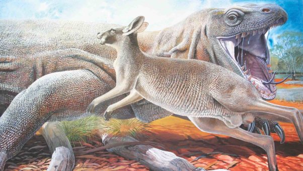 Where Did All the Giant Ground Sloths Go?