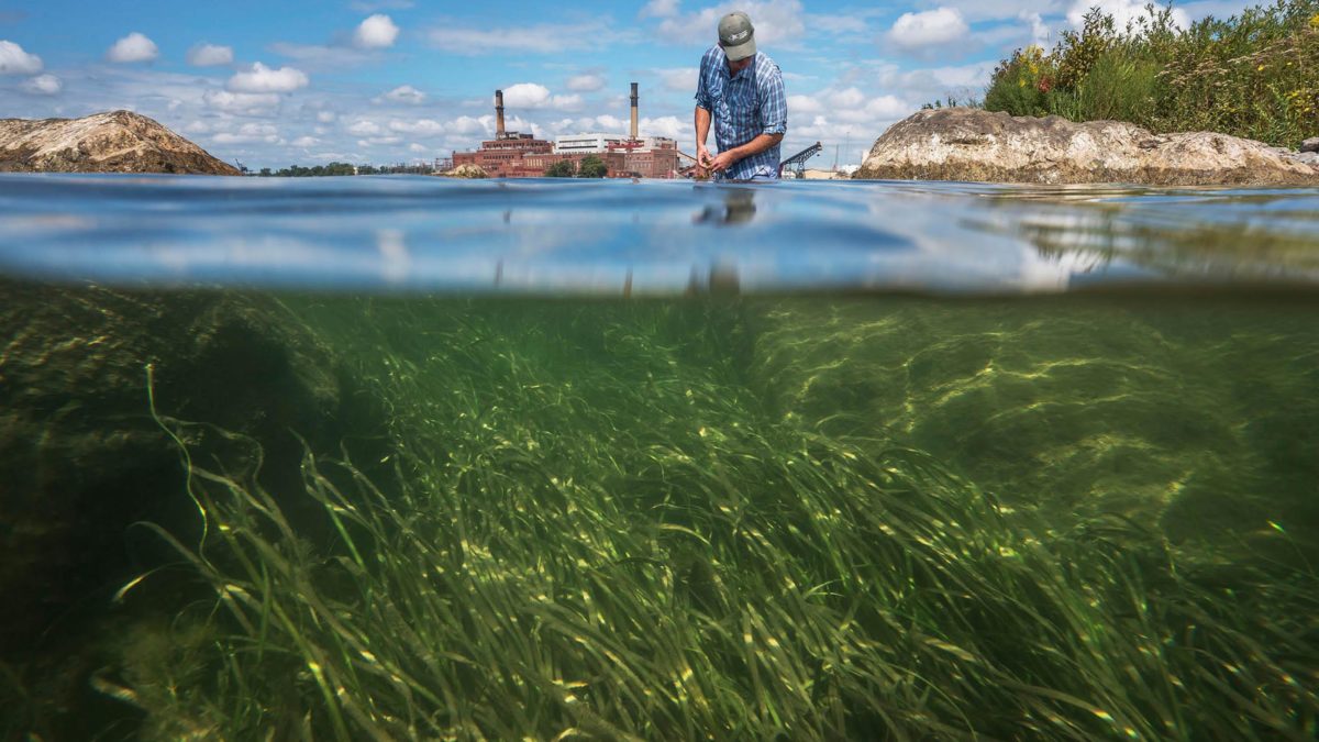 For Health and Habitat: Restoration of the Great Lakes