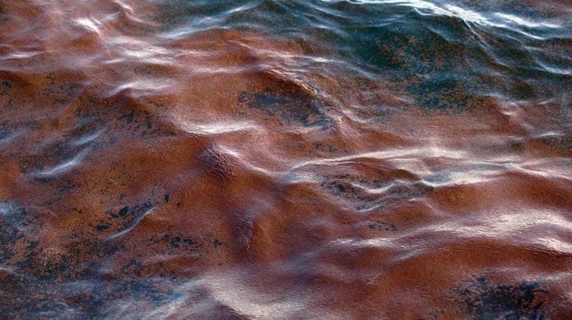 Crude oil floats on the surface of the Gulf of Mexico in the wake of the Deepwater Horizon Spill.