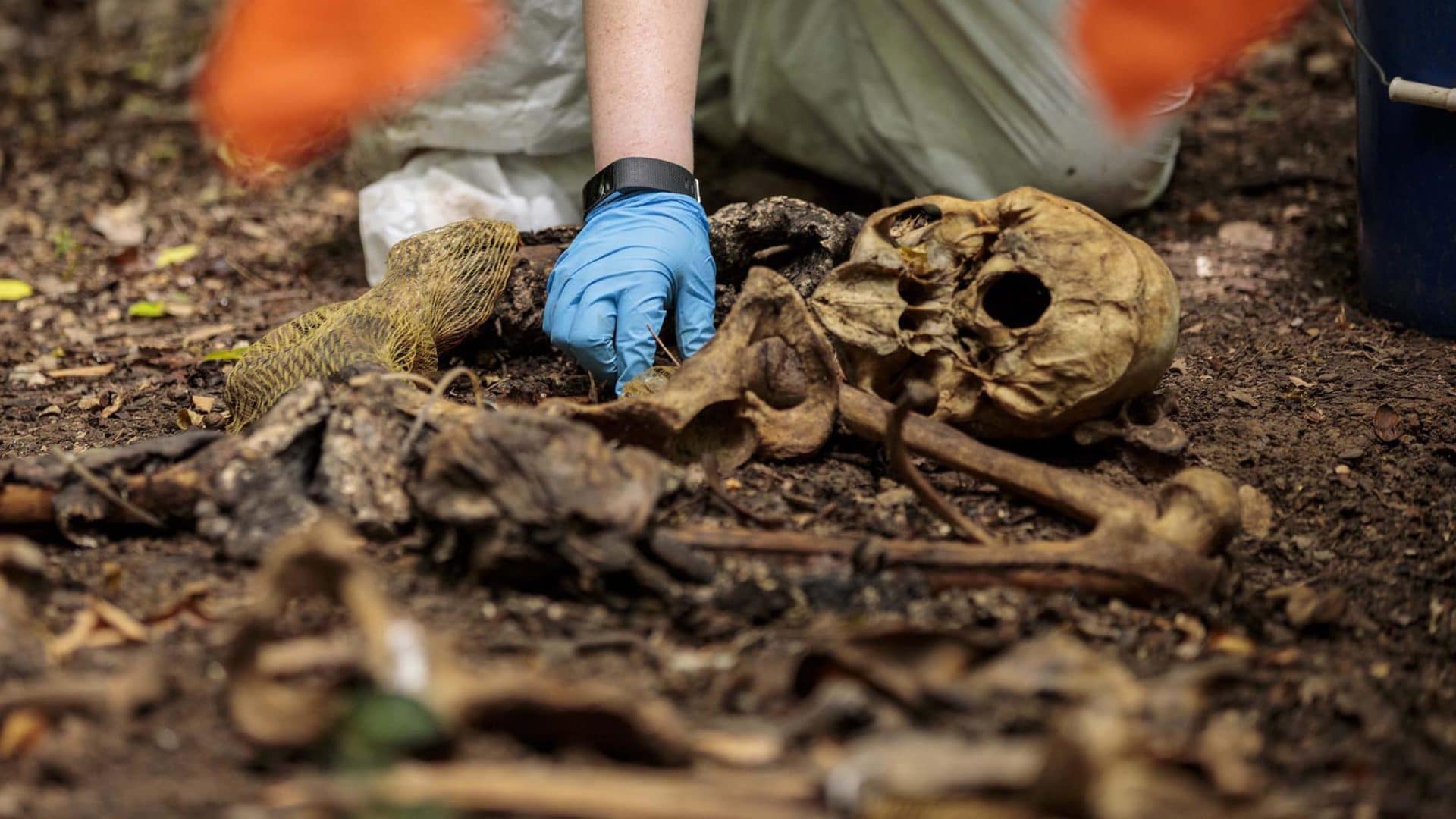 Down on the Body Farm: The Forensics of Decaying Corpses
