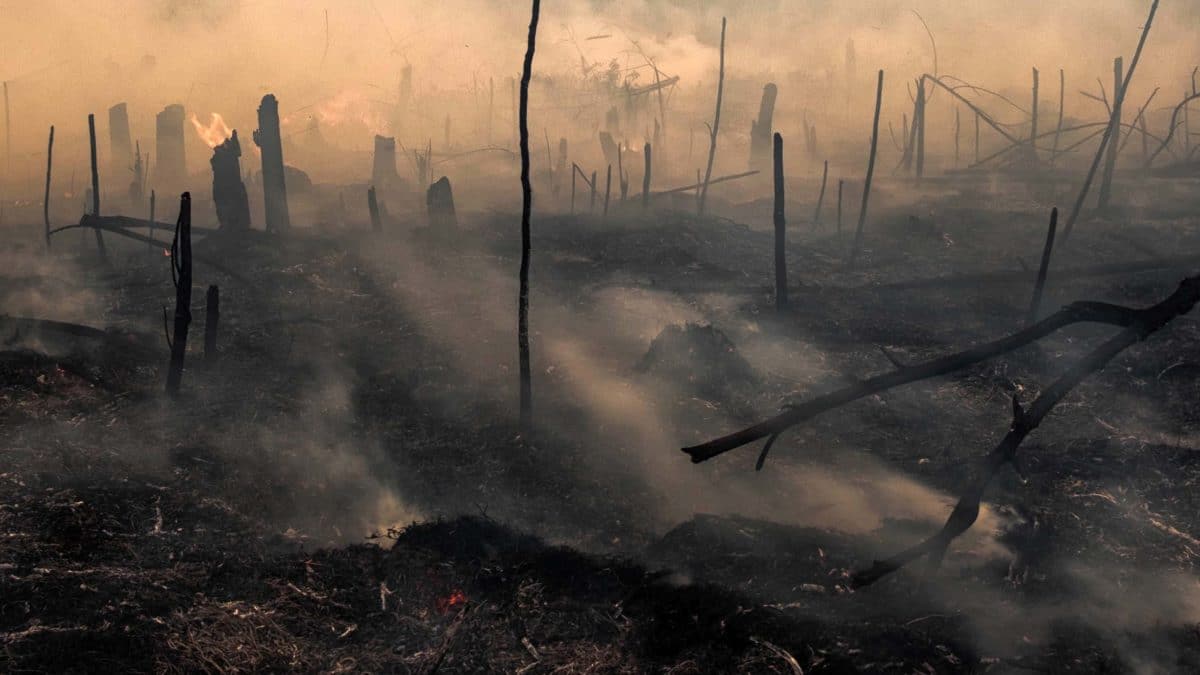 Can We Break the Cycle of War and Famine?