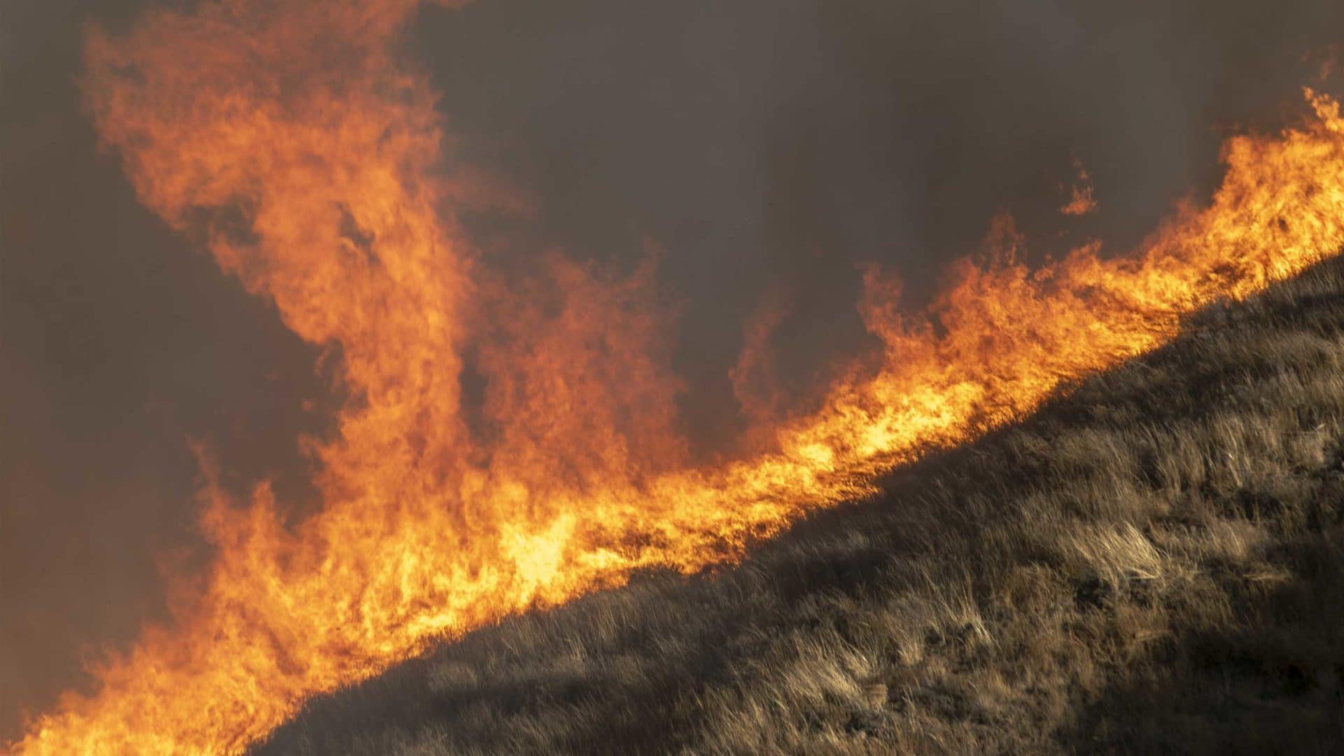 Strong winds were driving the Easy Fire near Simi Valley, California this week,  threatening the Ronald Reagan Presidential Library and nearby residential neighborhoods.