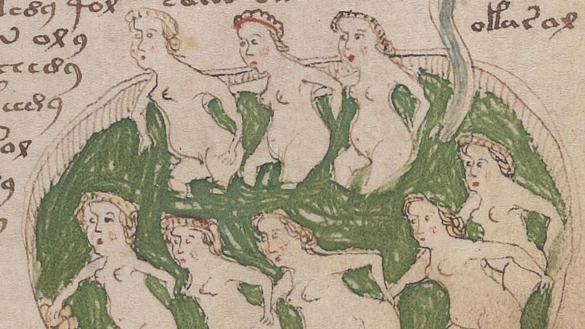 Illustrated nymphs in the Voynich manuscript.