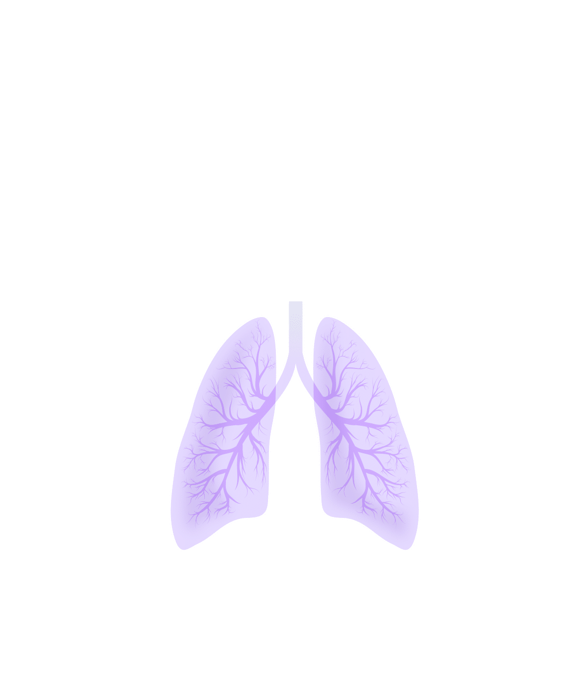 How Covid Affects the Body interactive graphic - Dimmed lungs