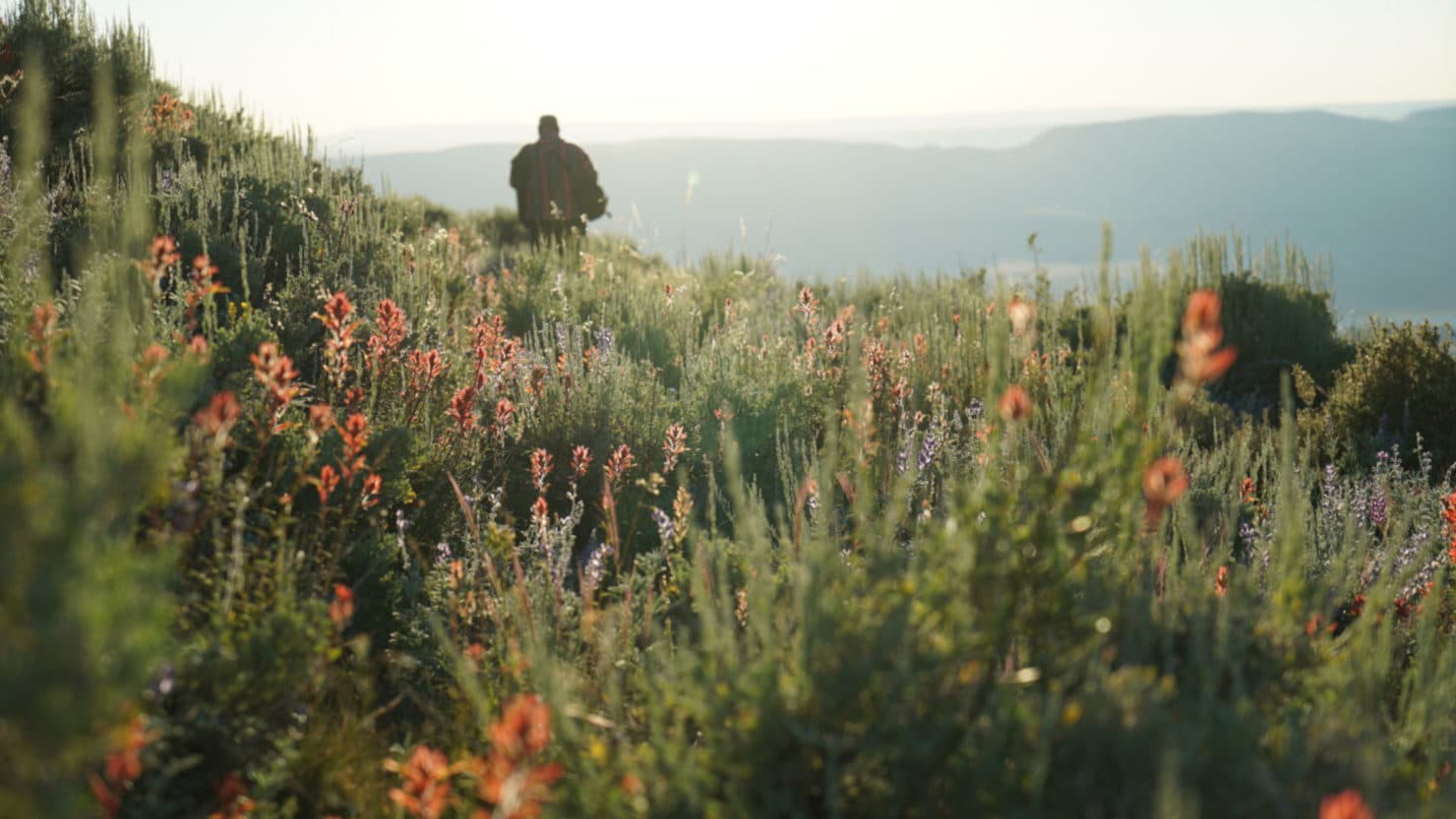 Amid the Pandemic, a Foray With Fungi Transformed Me