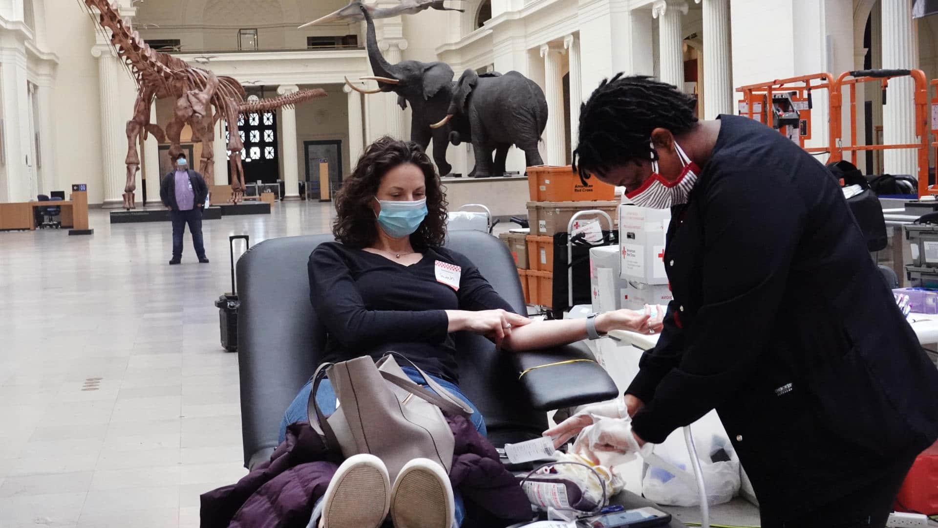 In May, the American Red Cross held a blood drive in the Field Museum of Natural History in Chicago. To maximize distancing, only five to six donors were scheduled to be in the 21,000-square-foot main hall every hour.