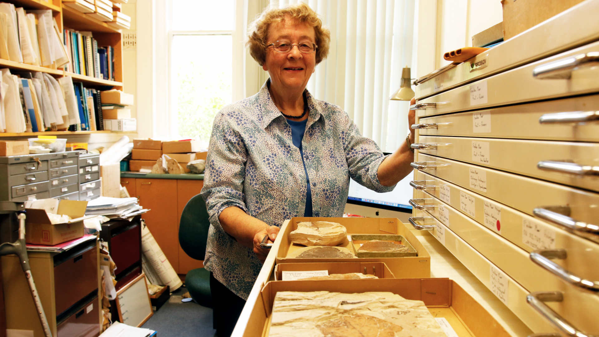 Geologist Daphne Lee, in her office at the University of Otago, has collected drawers full of impressively preserved plant fossils found at Foulden Maar.
