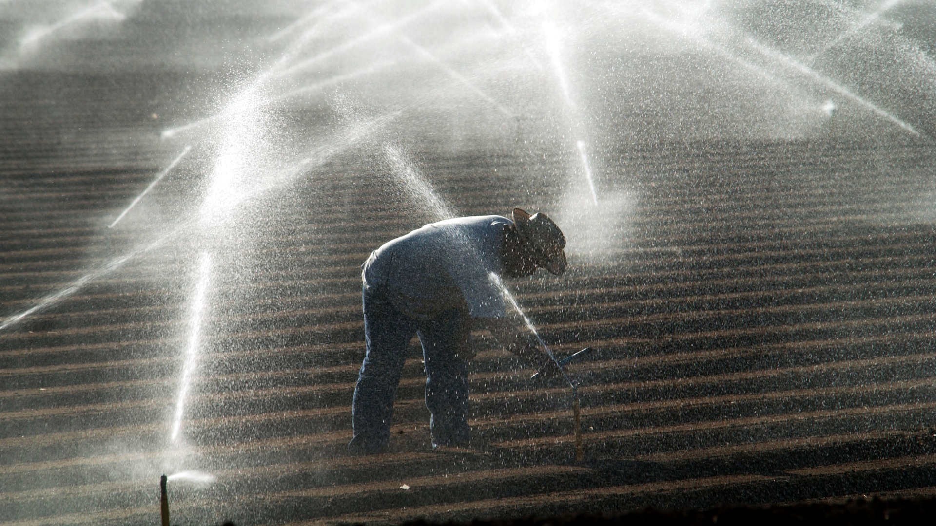 A farm worker adjusts sprinkler heads spraying water that comes from the Colorado River near El Centro, California.