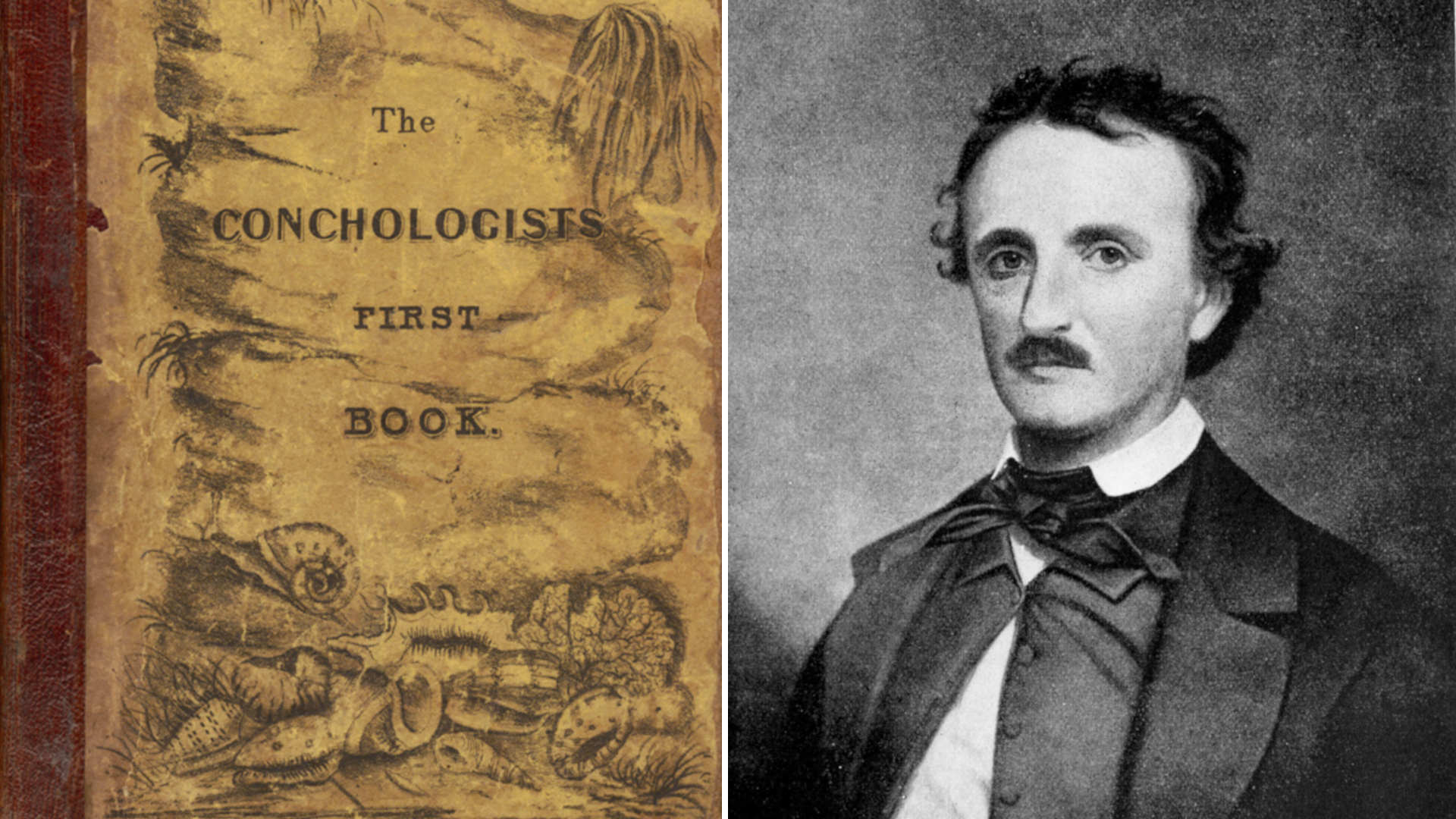 Edgar Allan Poe's bestselling work during his lifetime was a textbook on shells. Though Poe was given the only byline, the original, which Poe edited, was written by scientist Thomas Wyatt.