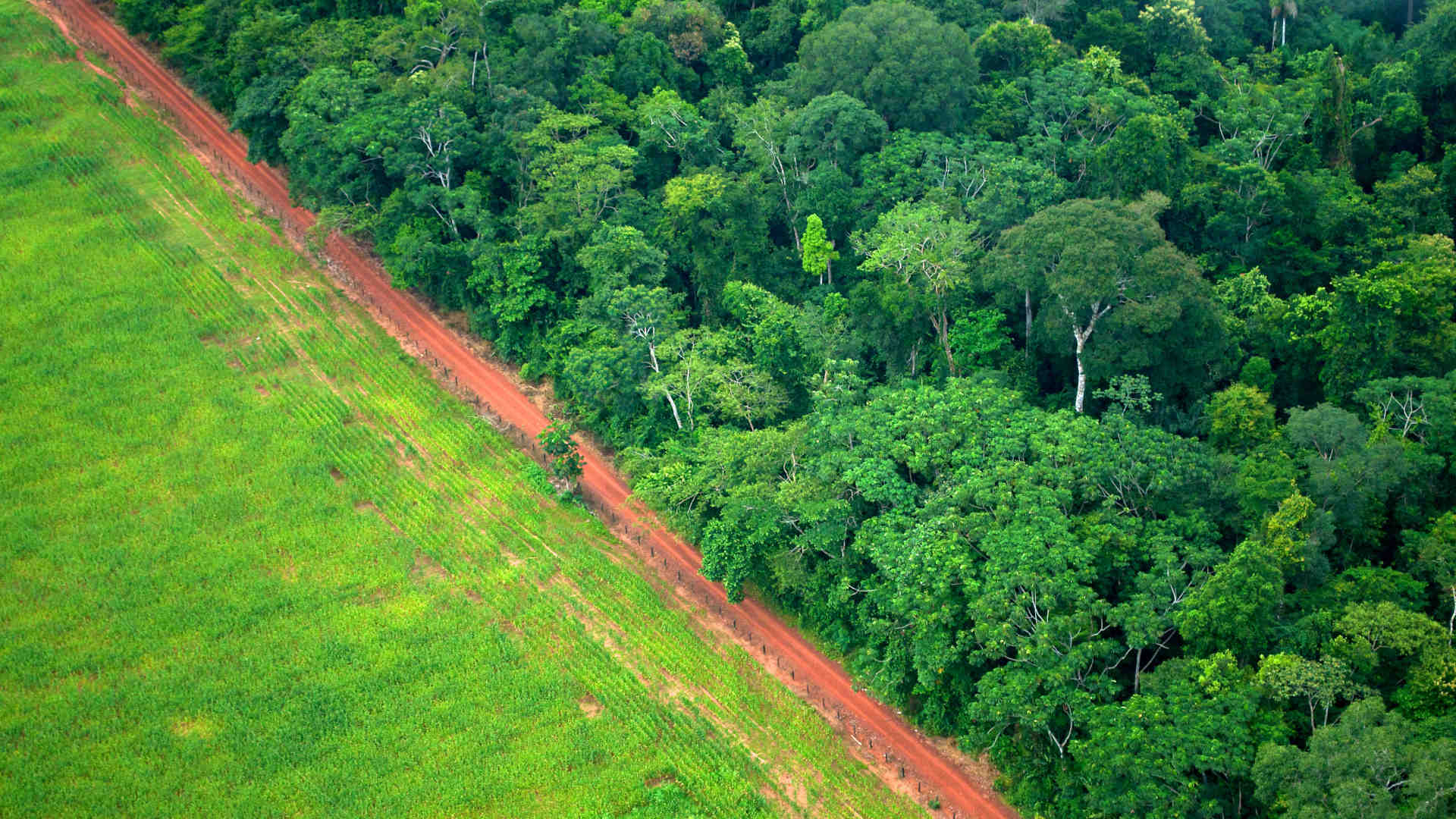 An aerial shot shows the contrast between forest and agricultural landscapes near Rio Branco, Acre, Brazil.