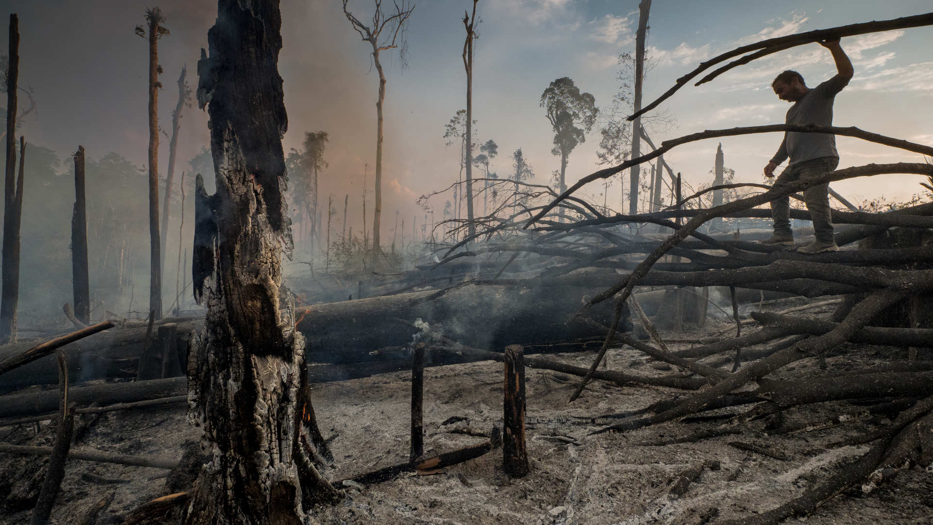 Rancher Jaim Teixeira surveys the landscape he burned, clearing the Amazon for his cattle.