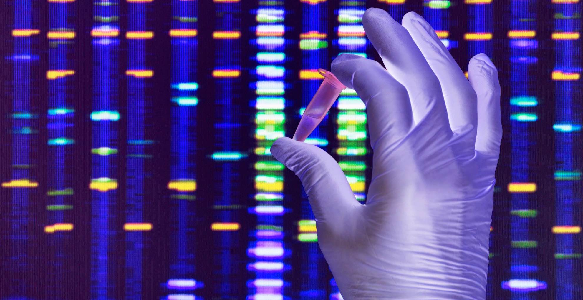 A gloved hand holds a DNA sample against the results of a genetic test shown on a screen.