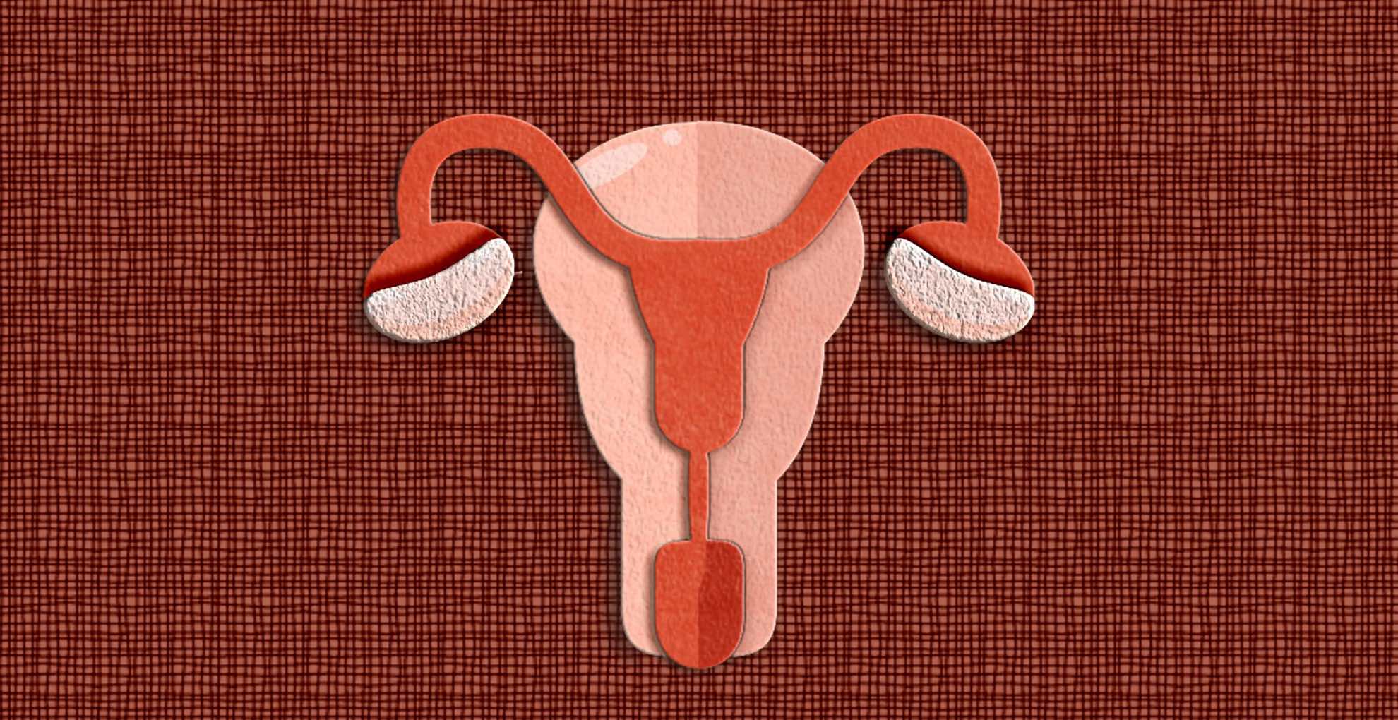 Paper art of the female female reproductive system