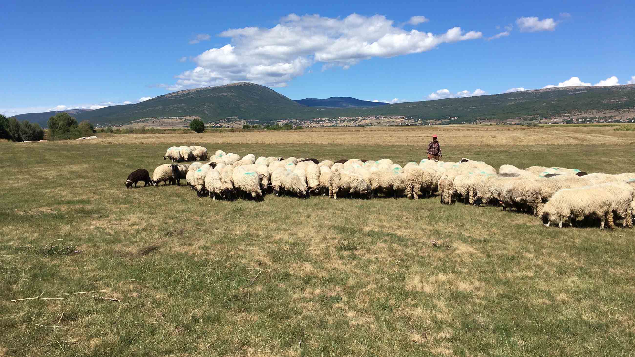 Restoring Landscapes and Livelihoods