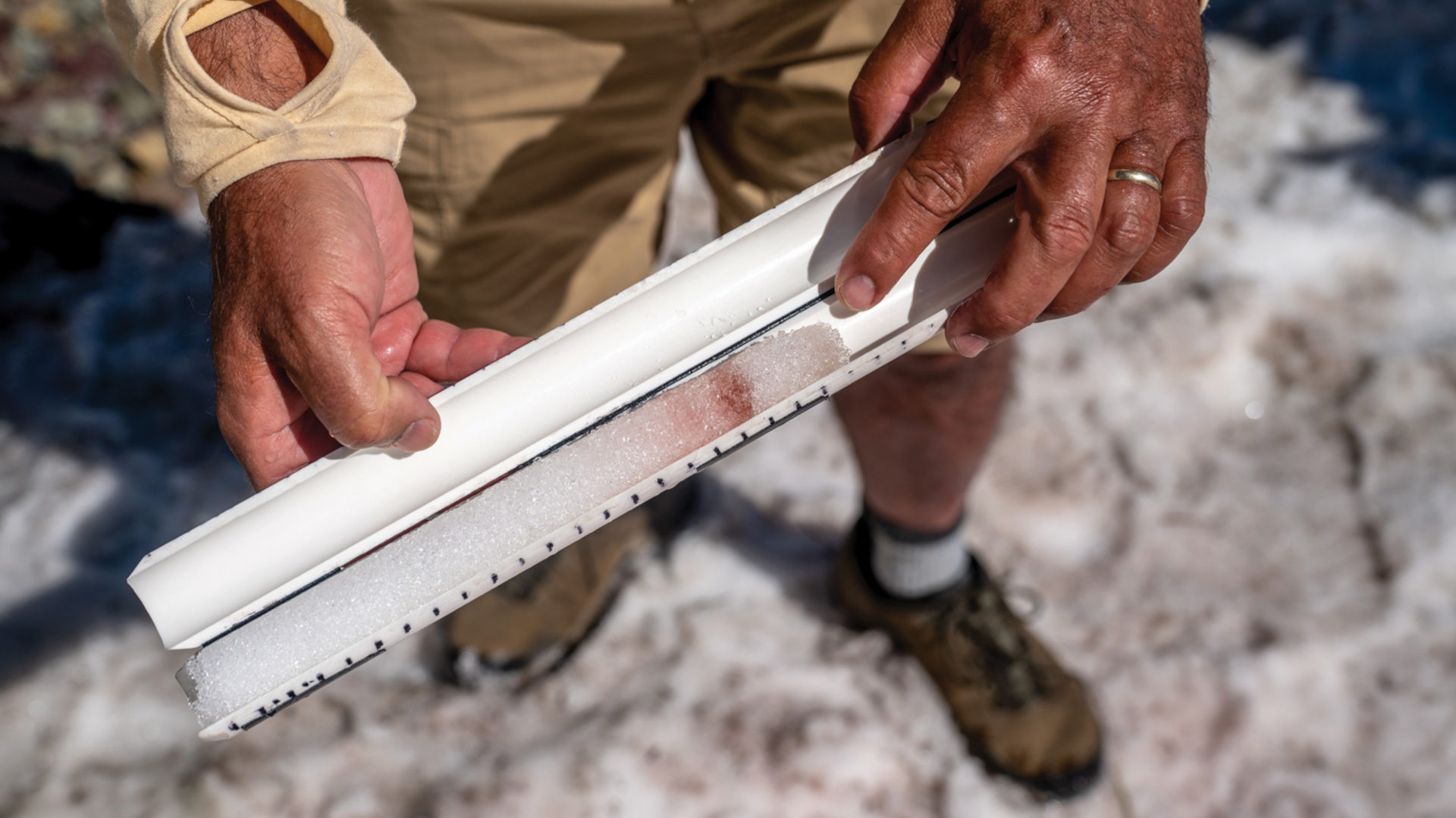 Ecologist Jim Elser examines bands of snow algae found in a snow core sample.