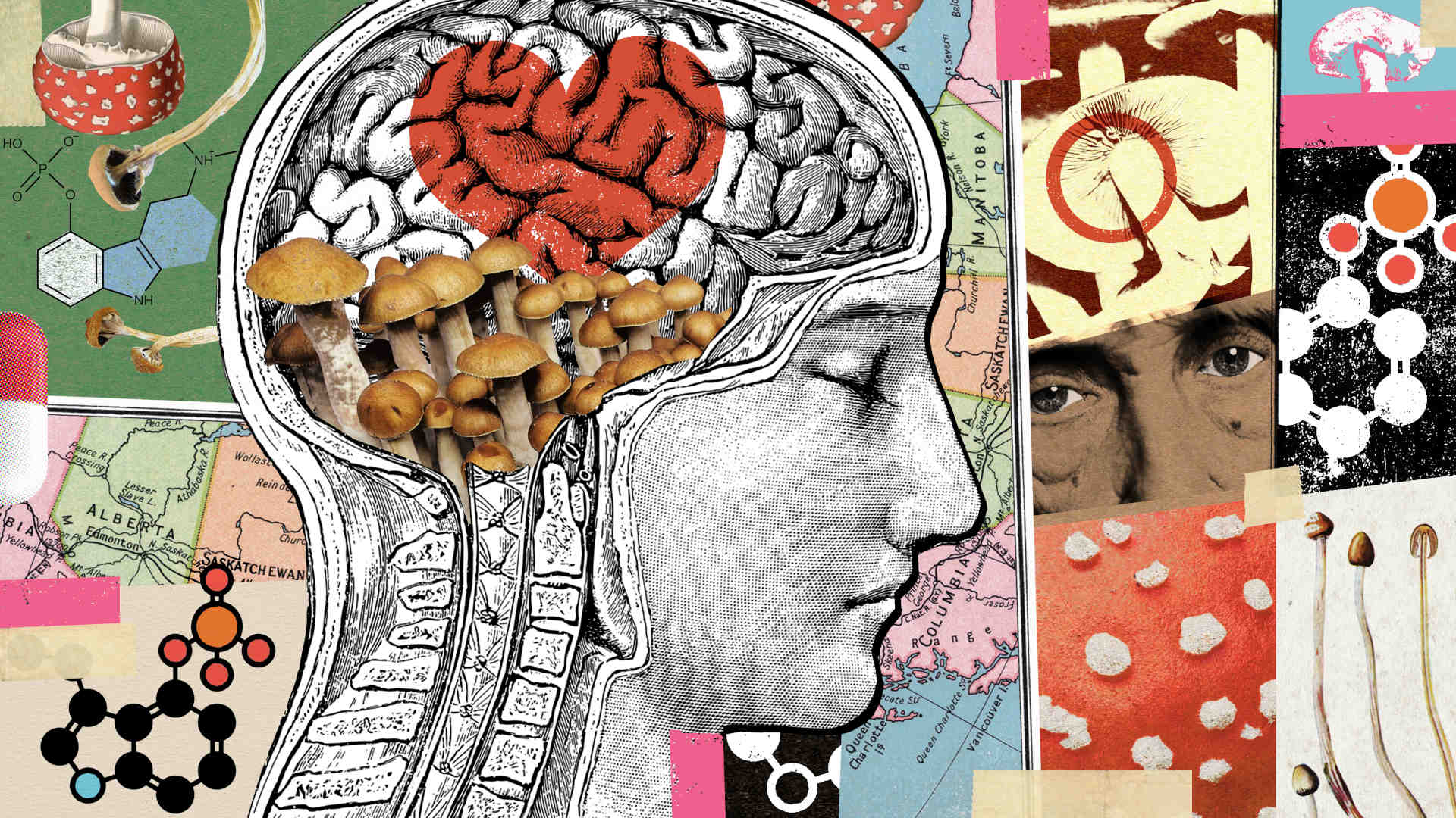 To Prepare for Psychedelic Therapy, Doctors Breathe Their Way to