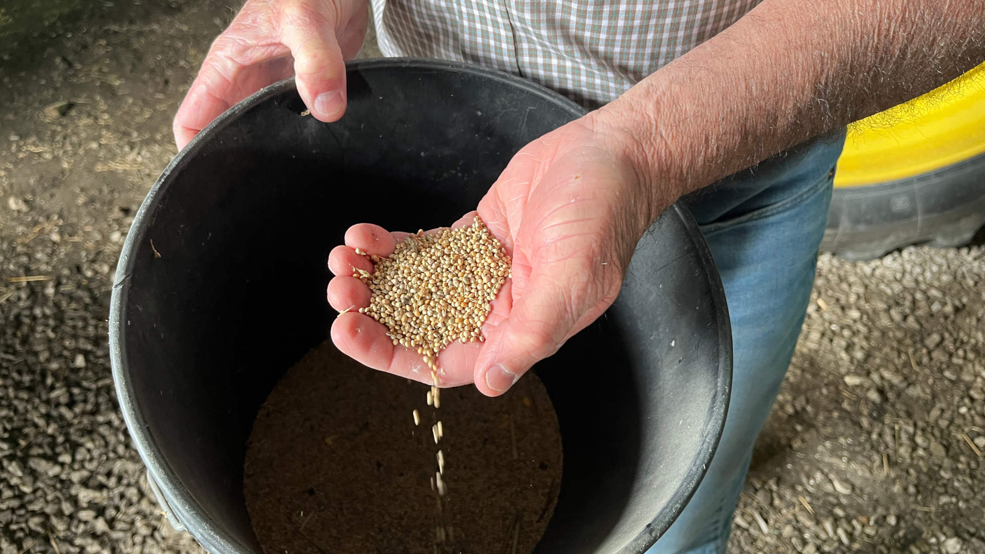 Farmer Jeff Taylor holds proso millet, a grain he start growing on his farm outside of Ames, Iowa, around six years ago.