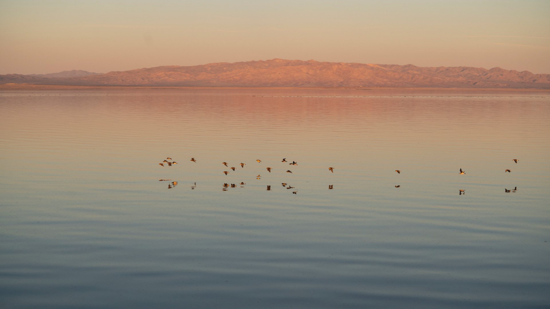 The Salton Sea is a 316-square mile, shallow glaze of water in Southern California that has been receding in recent years. Scientists believe the toxic dust kicked up from the exposed lakebed is contributing to respiratory disease in the region.  | All photos by KITRA CAHANA for UNDARK