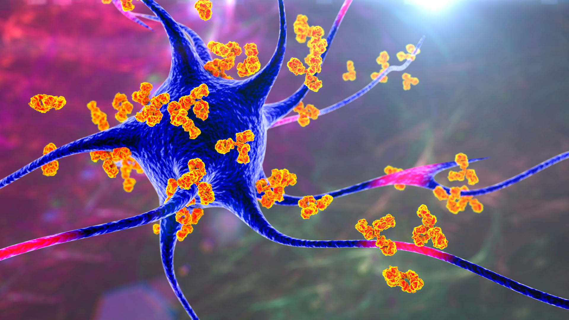 An illustration of antibodies attacking a neuron.
