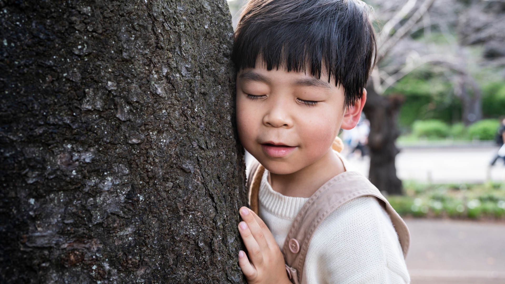 a boy puts his ear to a tree and listens