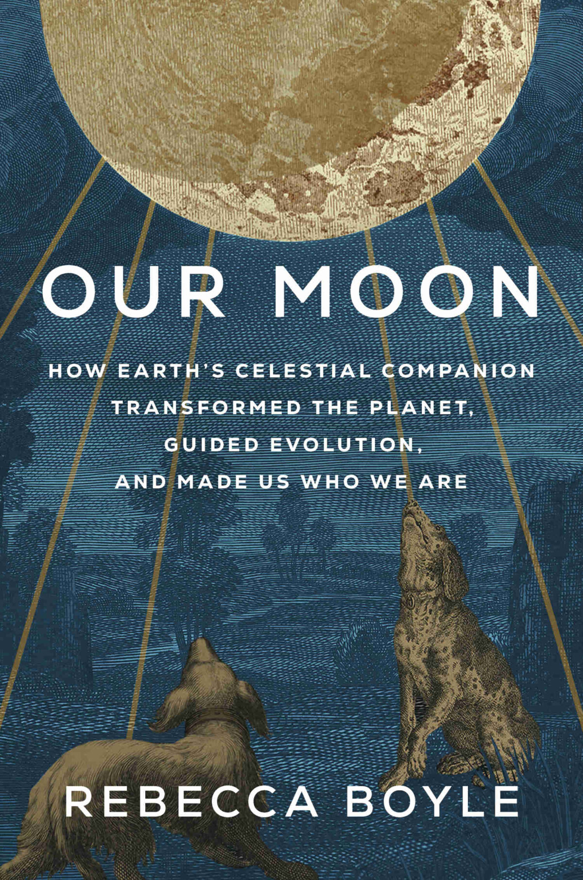 Our-Moon-book-cover
