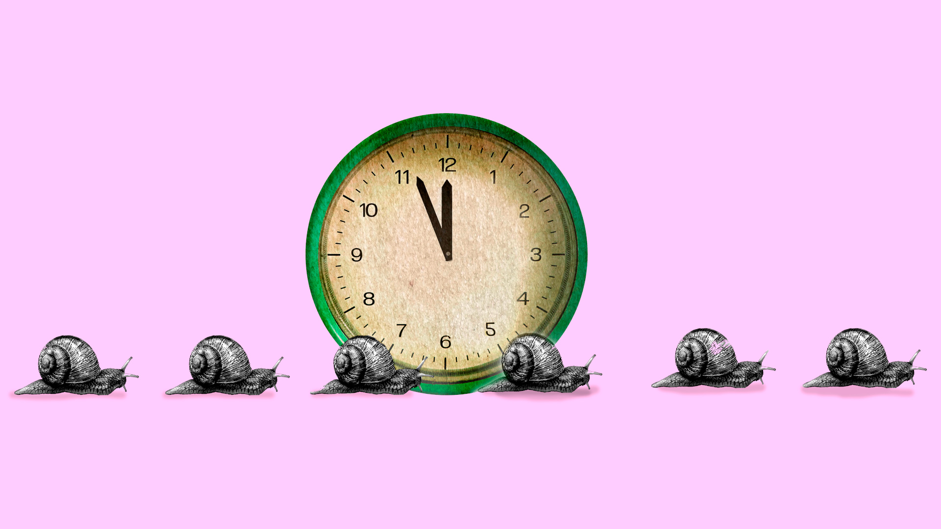 clock and snails