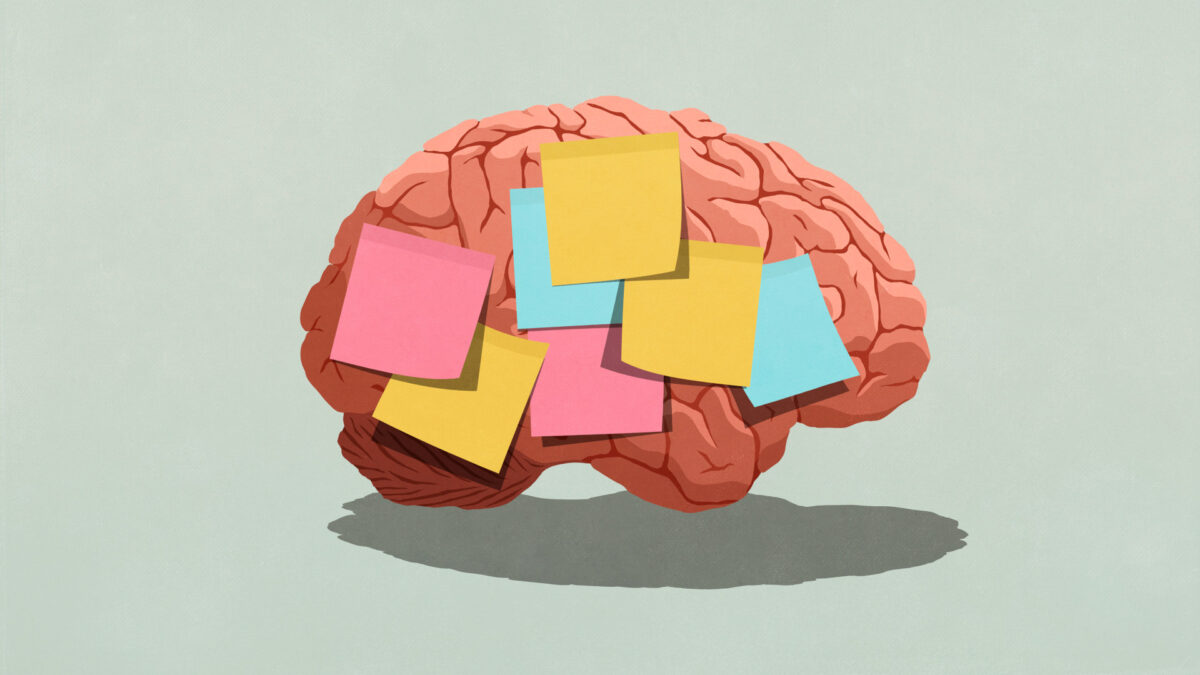 Book Review: The Mysteries and Quirks of Human Memory