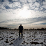 A farmer stands out in his snow-dusted cornfield in the low winter sun.