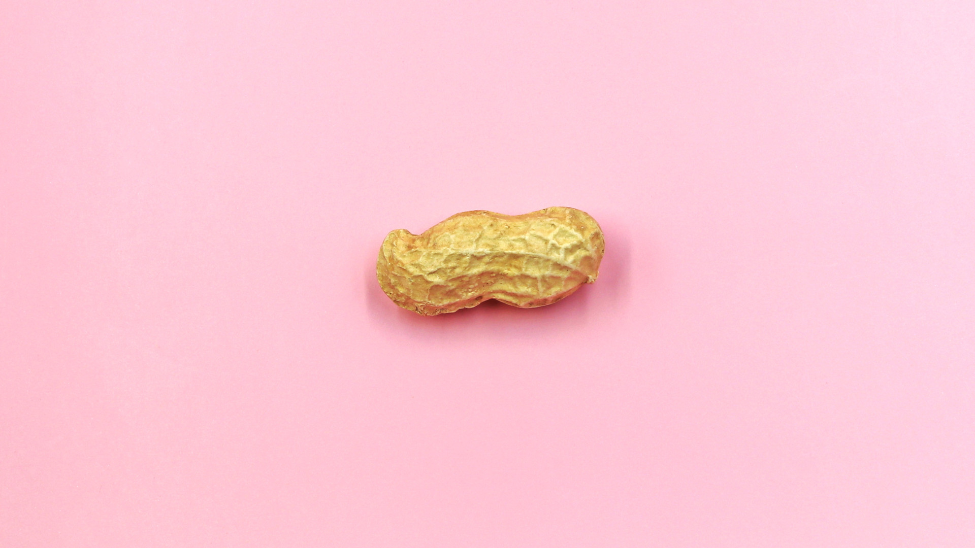 Peanut isolated on pink background. Food allergy concept
