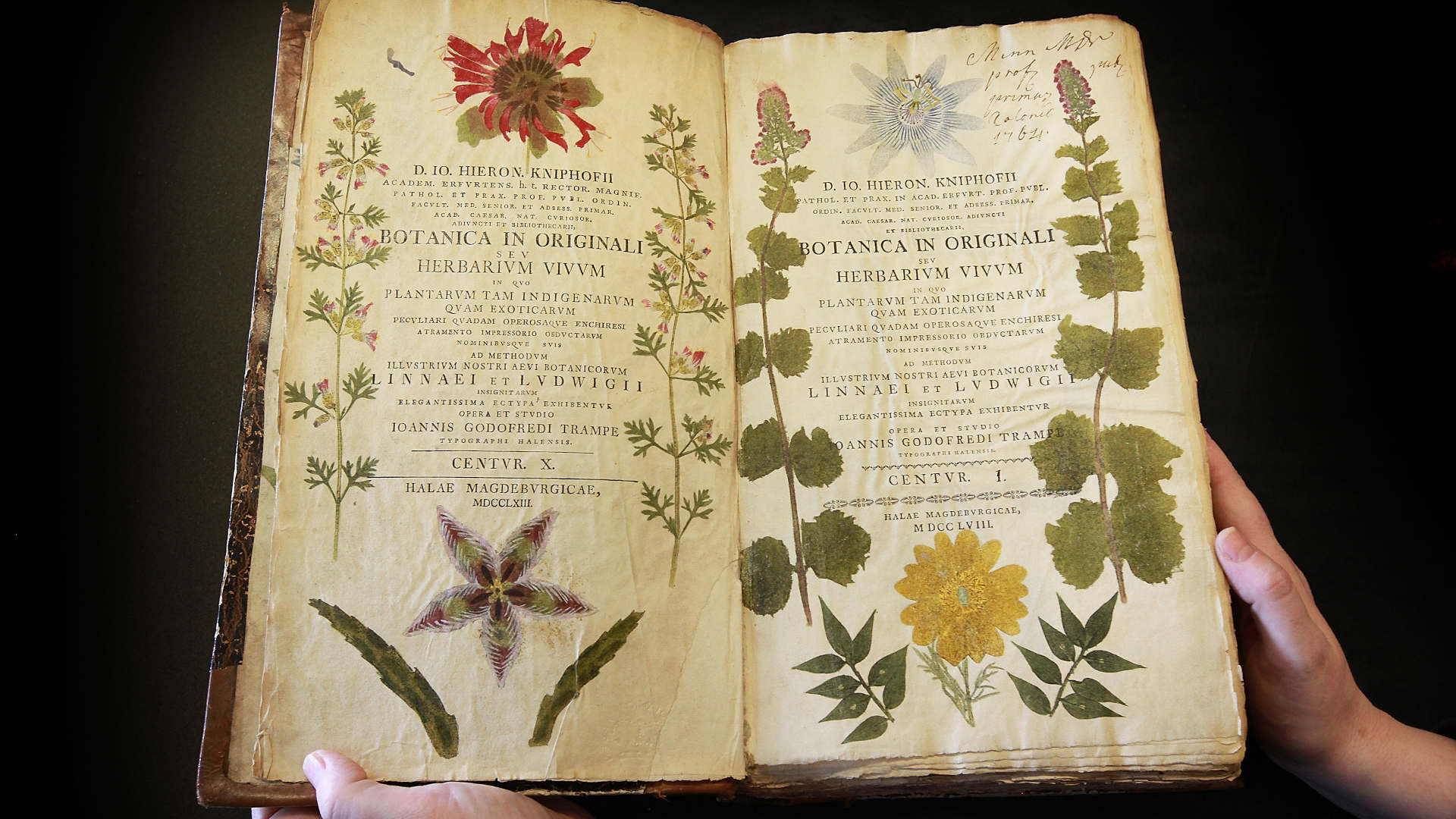 Top: A rare 18th century book containing nature prints is displayed at the Herbaruim library at the Royal Botanic Gardens, Kew, in London. Visual: Pet