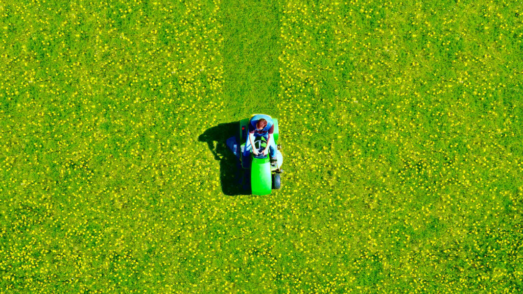 Man mowing green field of dandelions, aerial view