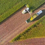 Farm machines, combine and semi-truck harvesting corn, entire plant is used, aerial view.