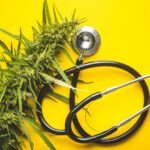 Marijuana bud flowers of cannabis and stethoscope on yellow background. Top view.